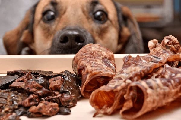 Tranquil Treats Organic Beef Liver 100g - natural-treats-pets-dried-meat-600nw-2069421377-2