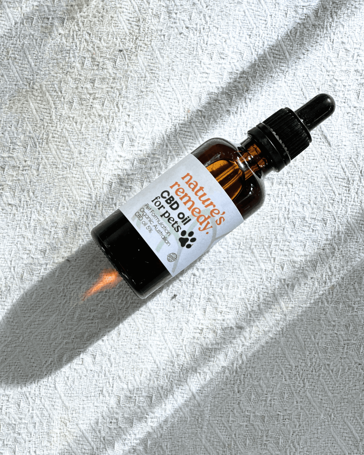 CBD Formulation for Dogs - WEB964507-646E9518-E3B0-95FA-BB81-3D4427772C26
