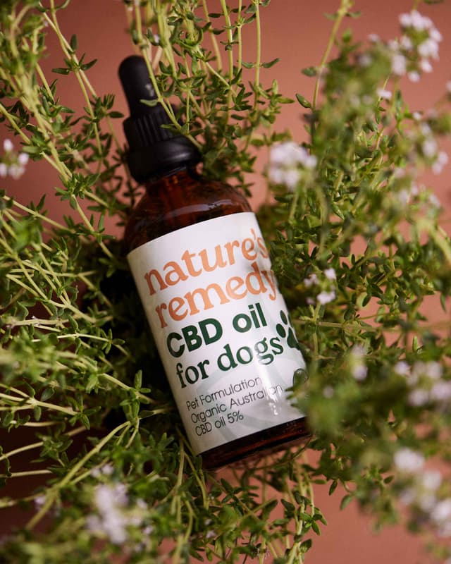 CBD Formulation for Dogs - 251030_SHOT_2535_d74d4a02-814b-479d-9f9c-3e4a34dadcf1